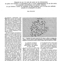 courrier cnrs 41_Page_40.jpg