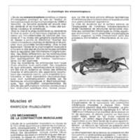 Rapport CNRS 1974-science_140.jpg