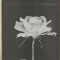 Le courrier du CNRS 27