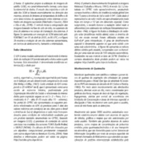 A3Bulletin56Bresil_Page_41.jpg