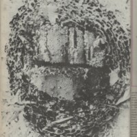 Le courrier du CNRS 30