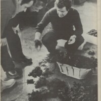 Le courrier du CNRS 29