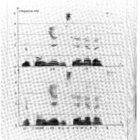 courrier cnrs 45_Page_04.jpg