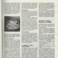 Rapport CNRS 1979-1980