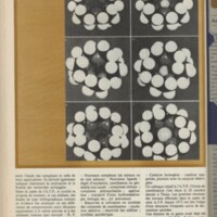 Le courrier du CNRS 16