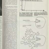 Le courrier du CNRS 28
