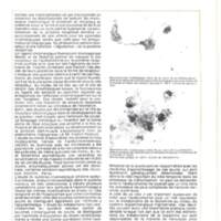 Rapport CNRS 1974-science_124.jpg
