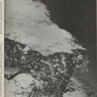 Le courrier du CNRS 26