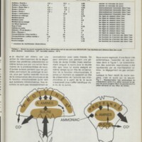 Le courrier du CNRS 27