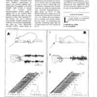 courrier cnrs 55-56_Page_52.jpg