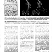 courrier cnrs 55-56_Page_27.jpg