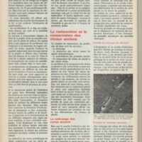 Le courrier du CNRS 21