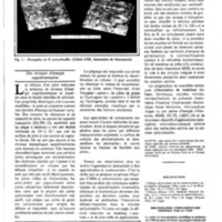 courrier cnrs 52-53_Page_44.jpg