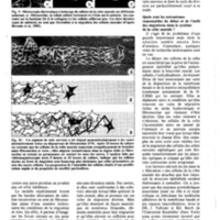 courrier cnrs 55-56_Page_32.jpg