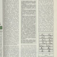 Le courrier du CNRS 28