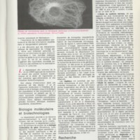 Rapport CNRS 1985
