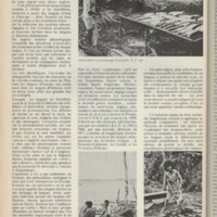 Le courrier du CNRS 5