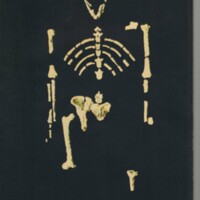 Le courrier du CNRS 22