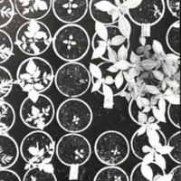 rapport 1970_184.jpg