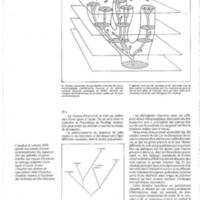 courrier cnrs 59_Page_33.jpg
