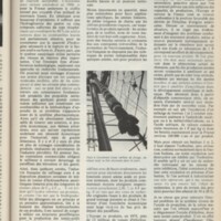 Le courrier du CNRS 6