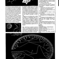 courrier cnrs 66-67-68_Page_070.jpg