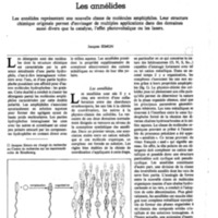 courrier cnrs 47_Page_18.jpg