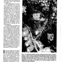 courrier cnrs 58_Page_36.jpg