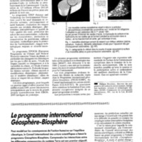 courrier cnrs 72_Page_114.jpg