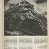 Le courrier du CNRS 25