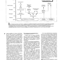 courrier cnrs 80_Page_012.jpg