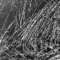 rapport 1970_100.jpg