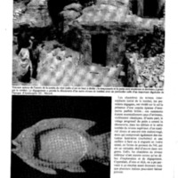 courrier cnrs 49_Page_38.jpg