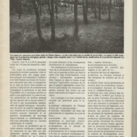 Le courrier du CNRS 31