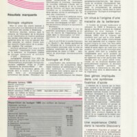 Rapport CNRS 1985