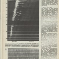 Le courrier du CNRS 29