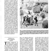 courrier cnrs 58_Page_31.jpg