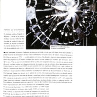 rapport 1988_036.jpg