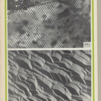 Le courrier du CNRS 10