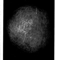 courrier cnrs terre_Page_47.jpg