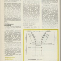 Le courrier du CNRS 12