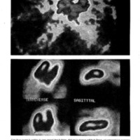 courrier cnrs 43_Page_18.jpg