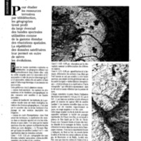 courrier cnrs 66-67-68_Page_037.jpg