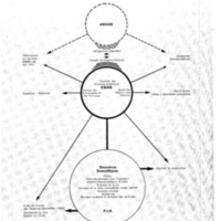courrier cnrs 45_Page_40.jpg