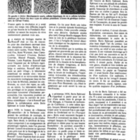 courrier cnrs 41_Page_05.jpg