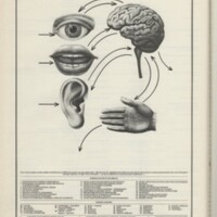 Le courrier du CNRS 19