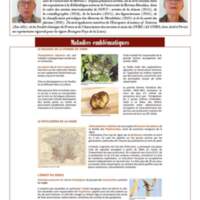 A3Magazine76Plantes_Page_57.jpg