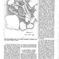 courrier cnrs 40_Page_05.jpg