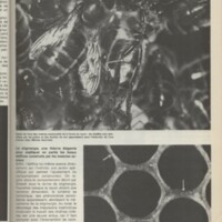 Le courrier du CNRS 30