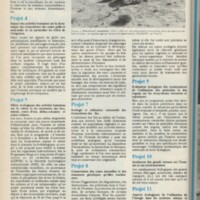 Le courrier du CNRS 13